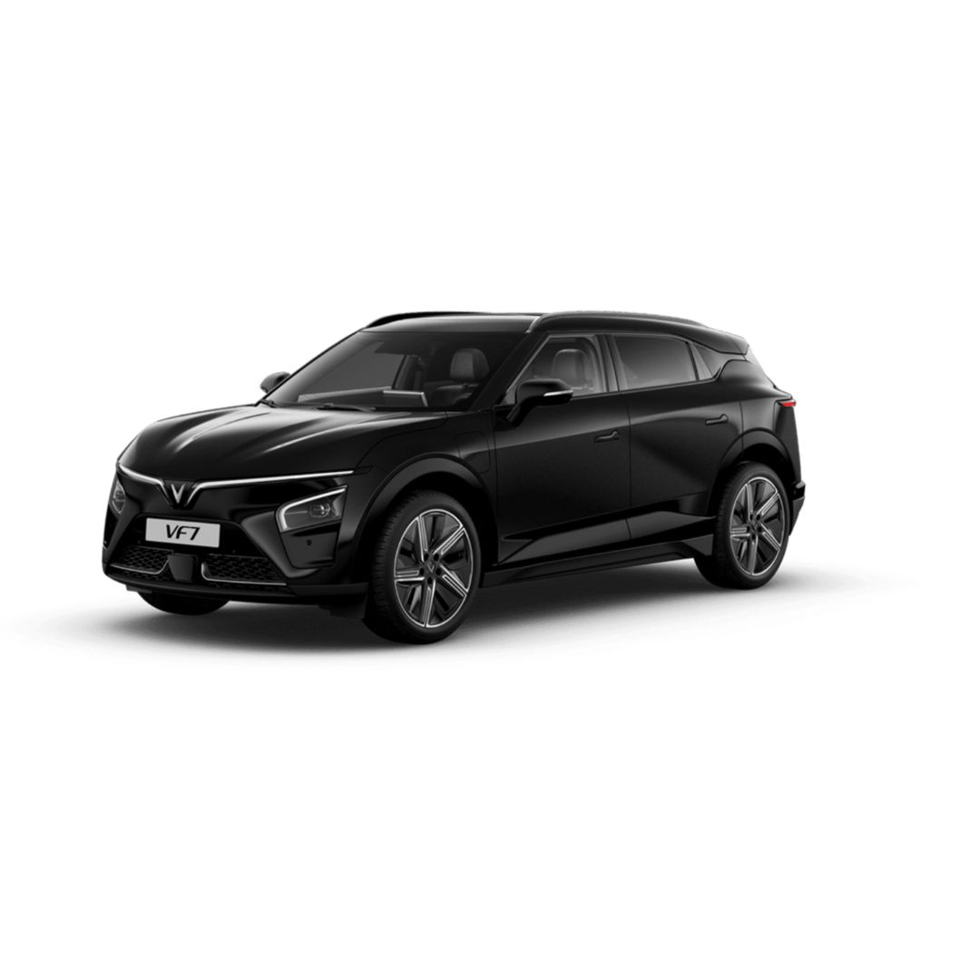 VF7-IMAGE-3